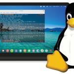 Linux Nedir? ve Linux Nasıl Çalışır?