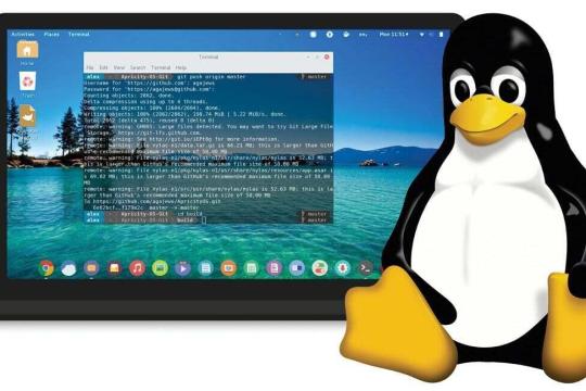 Linux Nedir? ve Linux Nasıl Çalışır?